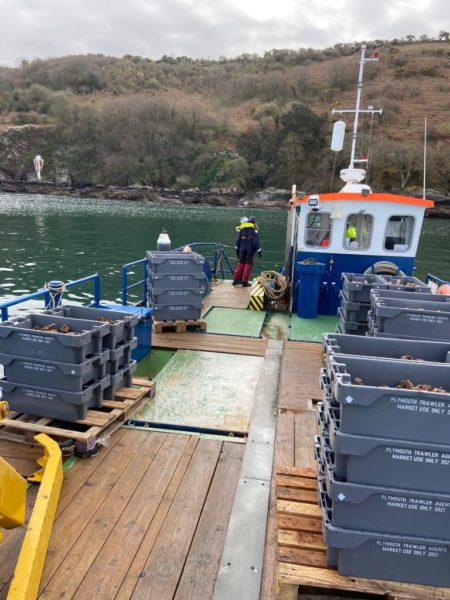 Cattewater-Harbour-Commissioners-Katie-Rich-768x1024