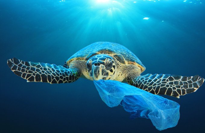 CHC supports single use plastics charter