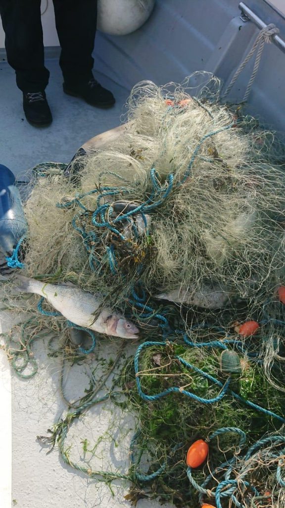 Illegal fishing nets removed from River Plym